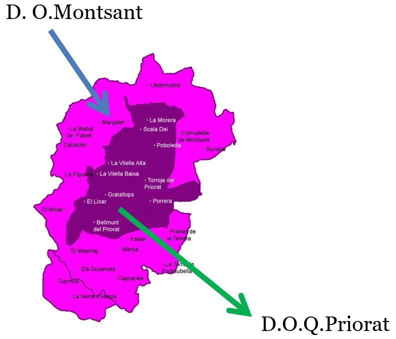 My favourite Catalan red wines A Guide in Barcelona