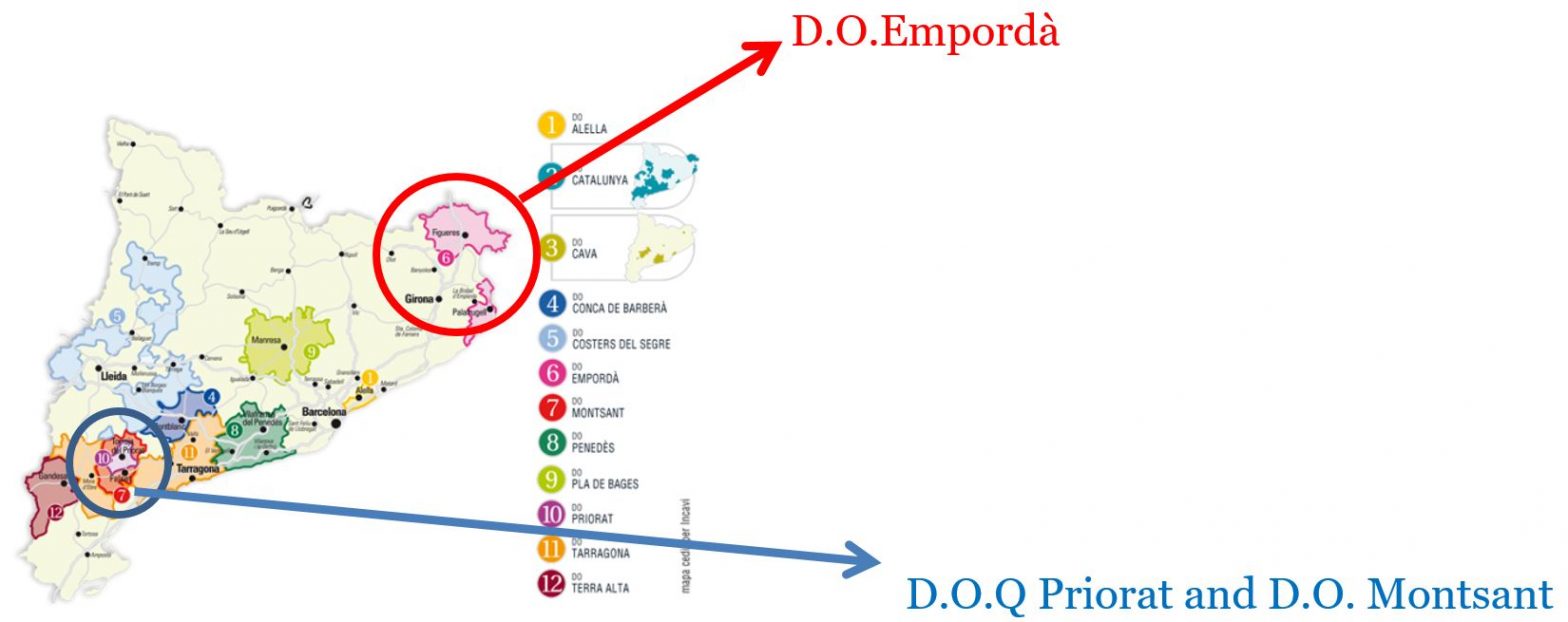 My favourite Catalan red wines A Guide in Barcelona